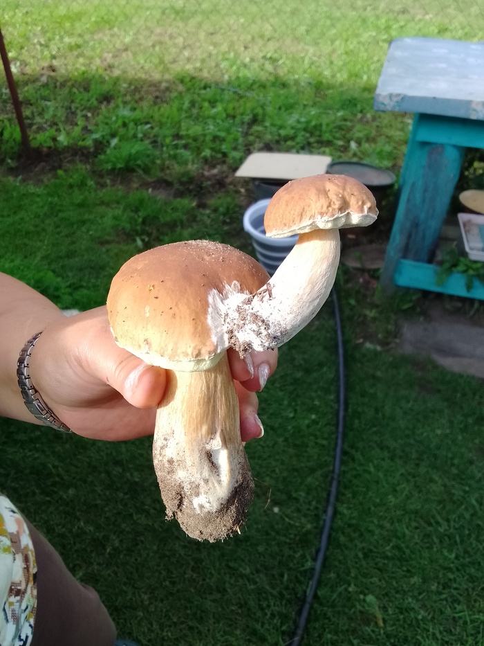   , , , , , 