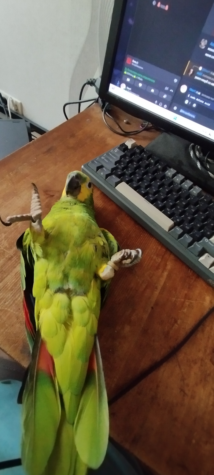  , , , ,  , 