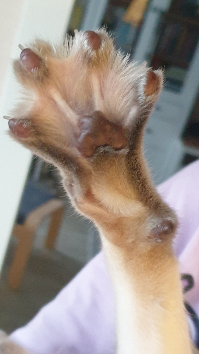     !  , , 