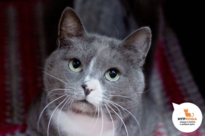   - 6 , ,   .  , .        - , .  ,  ,         ,    