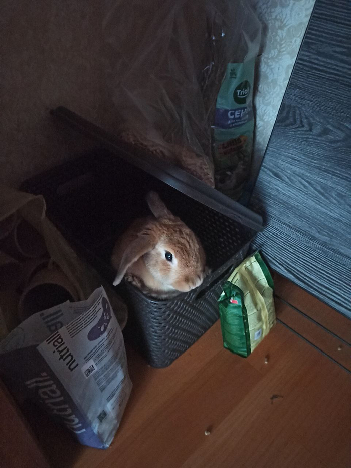         !  , , , ,  ,   , ,  