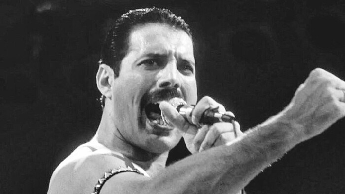 5  -      , , , Queen,  , 