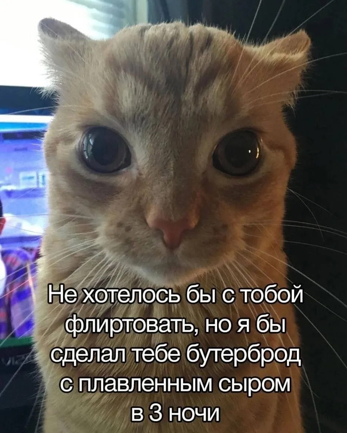   ,   , , , Telegram ()