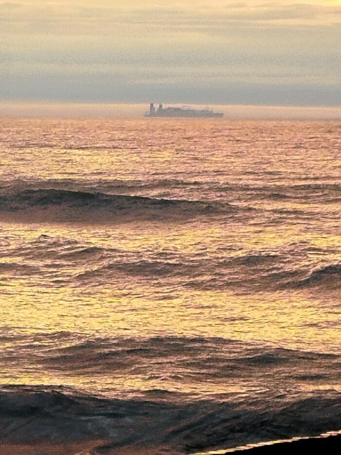 Пролежали на дне сотни лет и почти не сгнили. Почему в Балтийском море затонувшие деревянные корабли хорошо сохранились?