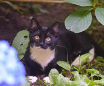 ������ � ������ ����! ������