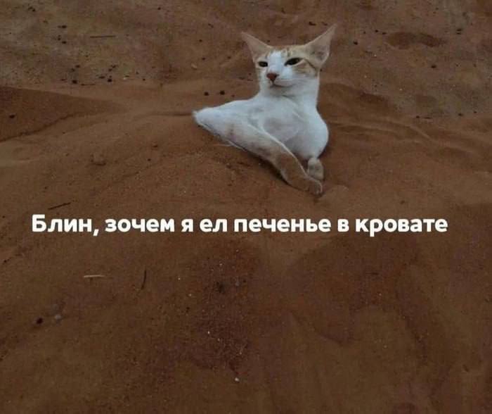     , , , , Telegram ()