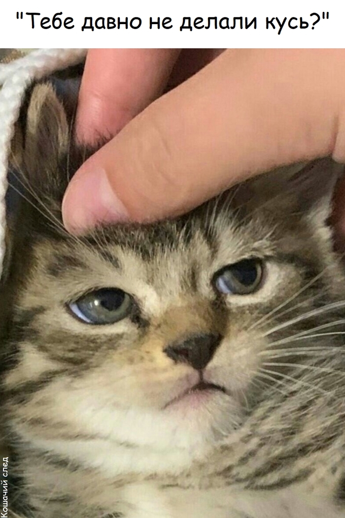  ,  , ,  (),   