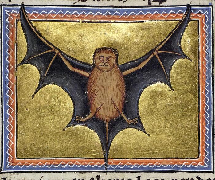 " ", , . 1200 .    (),  24. 