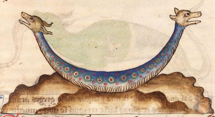      . "De Natura animalium" (  ), , . 1270 . , ,  ,  711.