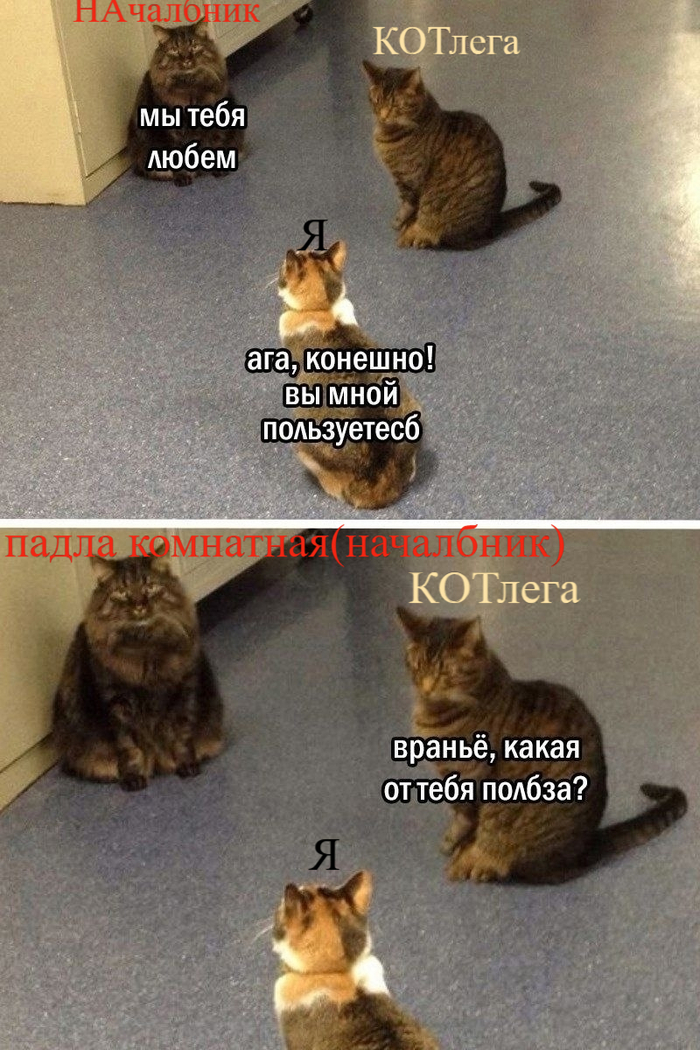  , , , ,  ,  ,   