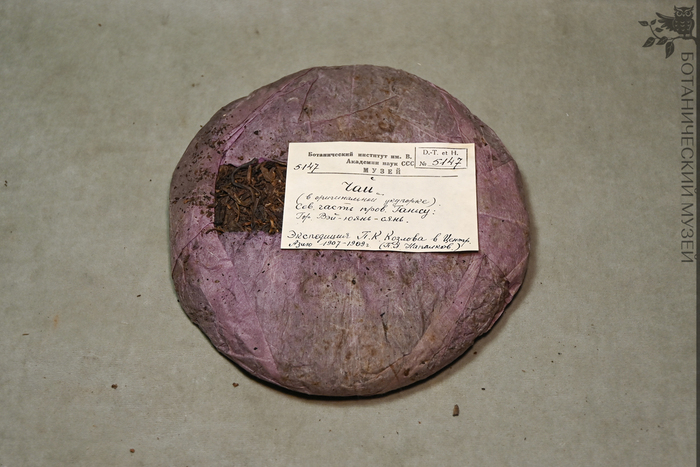 Чай в оригинальной упаковке. Северная часть провинции Ганьсу, Китай. Собрал П.Я. Напалков. Экспедиция П.К. Козлова в Центральную Азию 1907-1909 г. Коллекция экономической ботаники Ботанического музея БИН РАН.