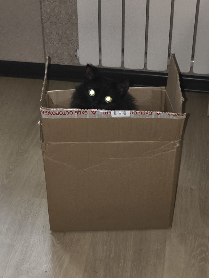 И снова коробковое