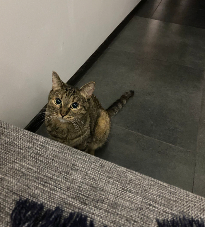 Готовится к переезду в новые владения