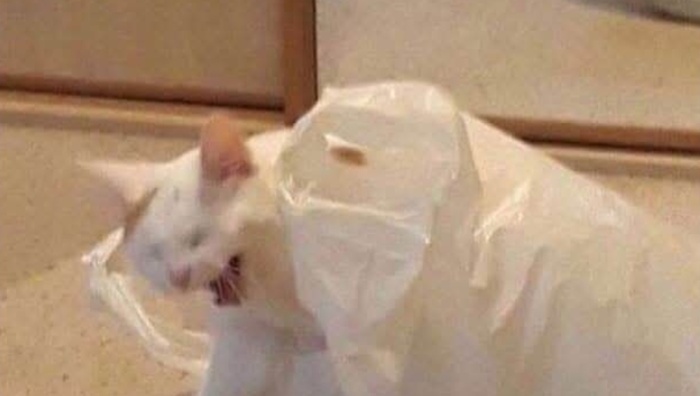          ,     ...   , , , , 