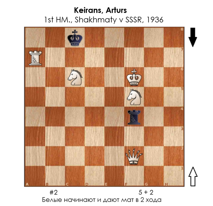  #339 ,  , , 