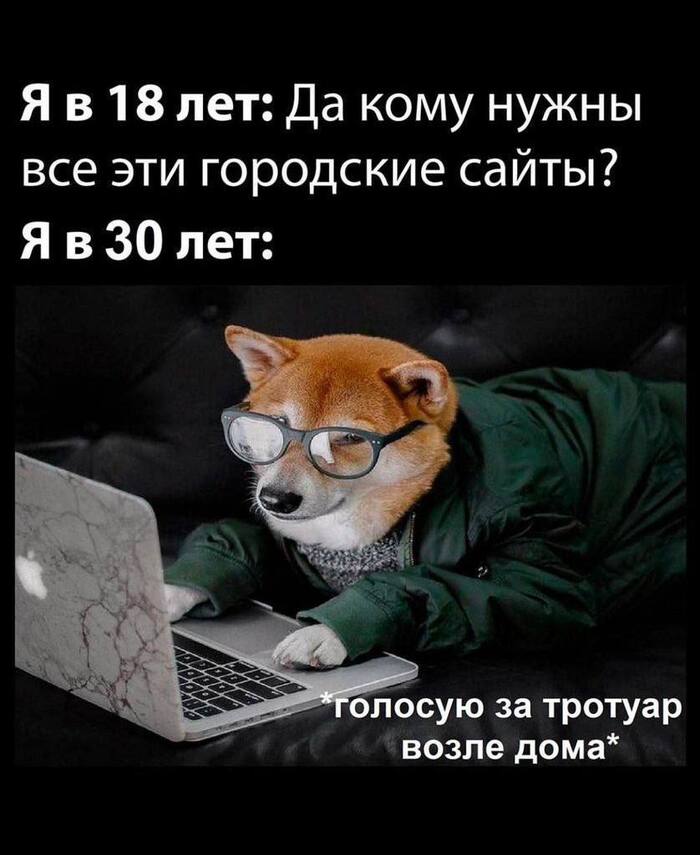       , , , Telegram (),   , 