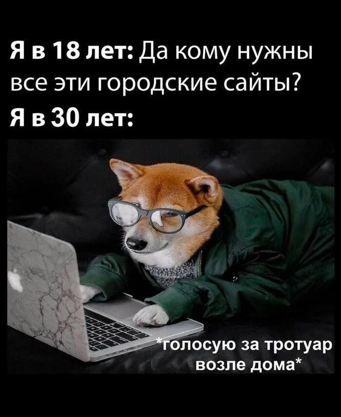njbbcxvb.webp