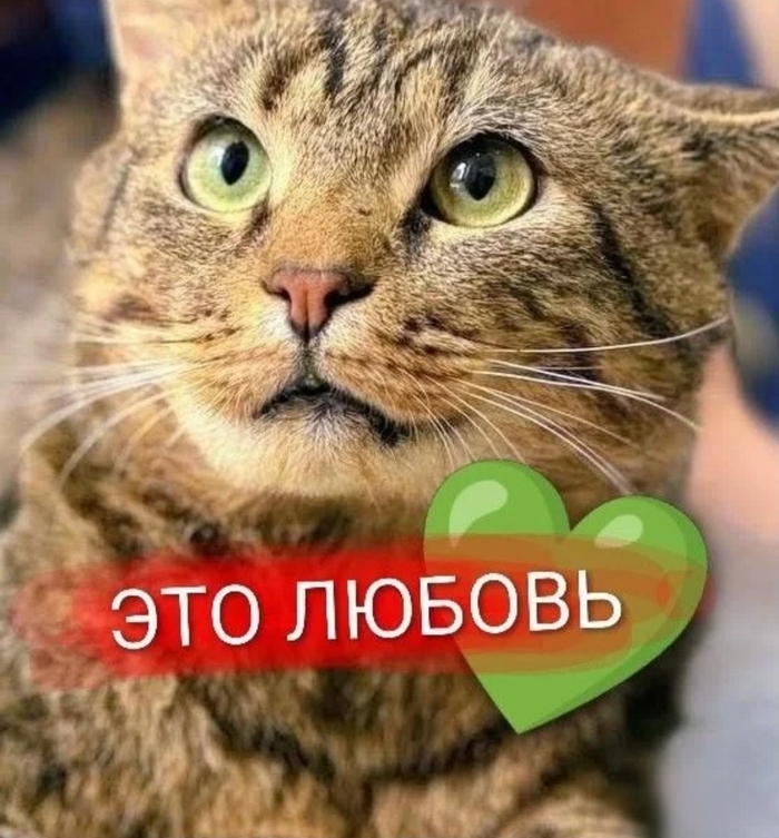      ,     ...      , ,  ,  ,   ,  , 