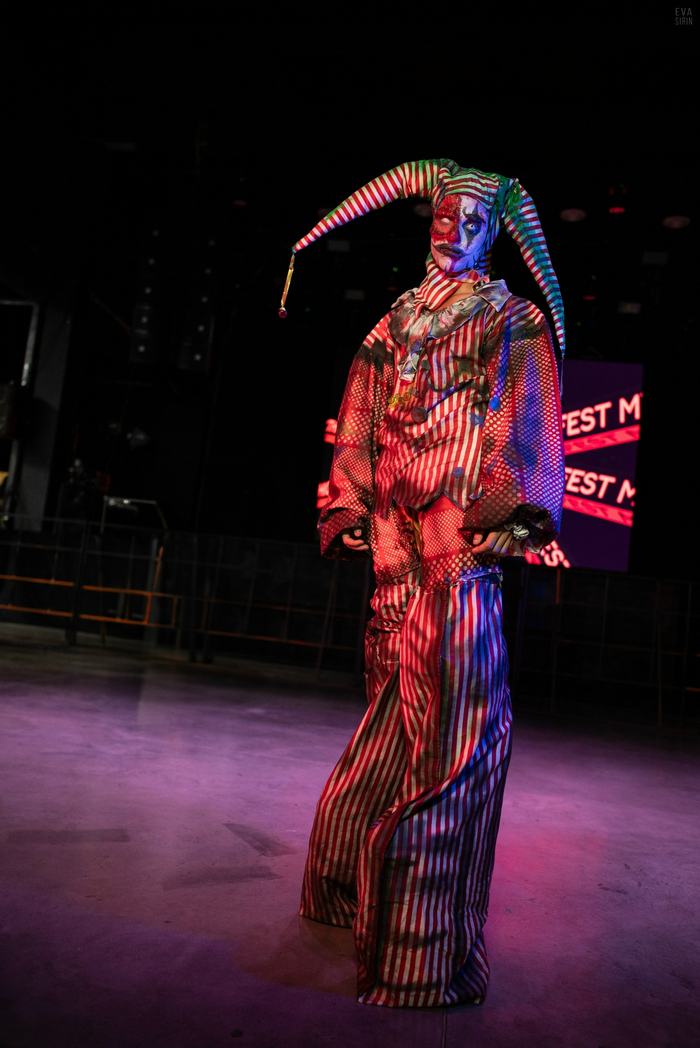 ������ ������ �����, ��������� AniFest � ����������, ����: ��� �����