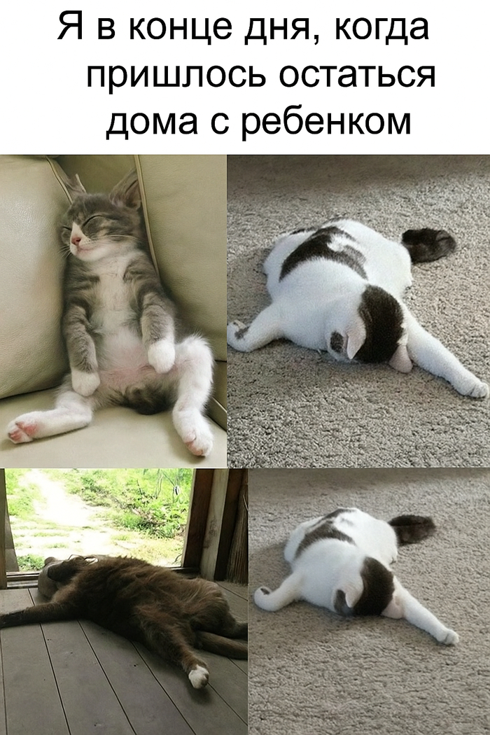      , , , , ,  ,  ,  (),  
