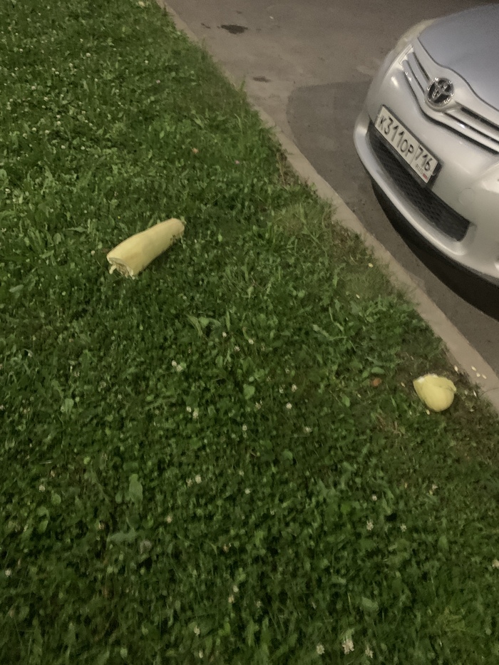 ������ ���� �������