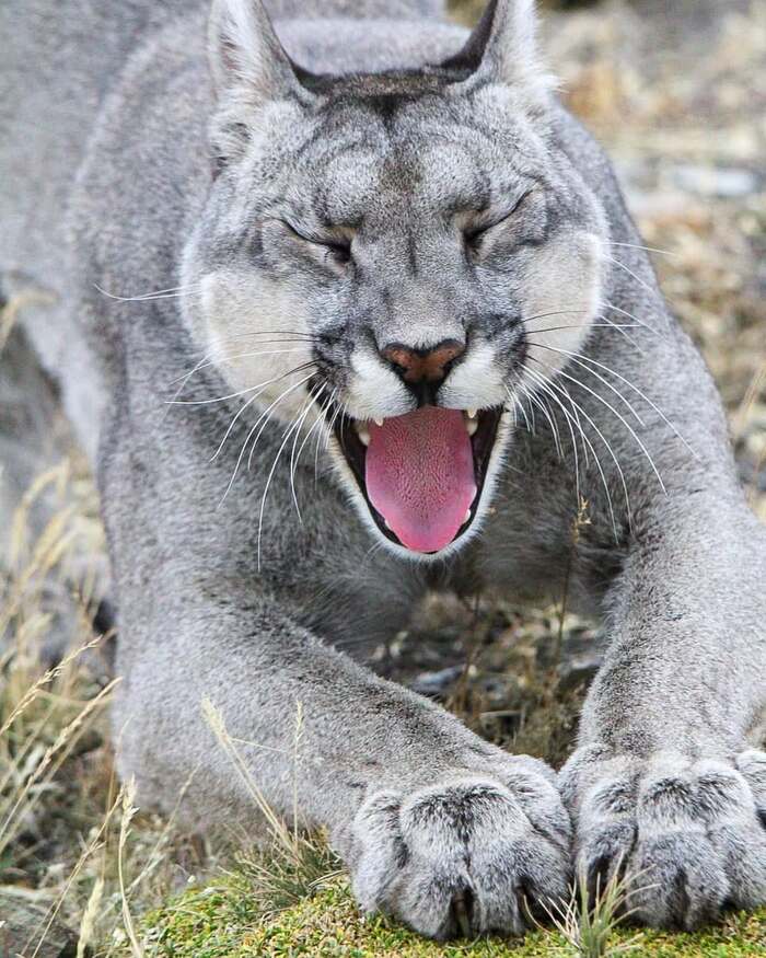   ,    ,  ,  ,  ,  ,  ,  , 