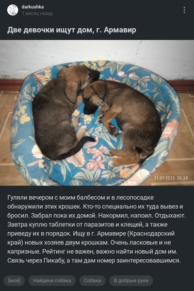 Иллюстрация к комментарию