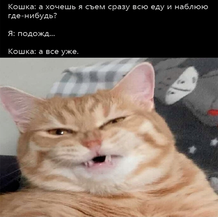  ,  ,     !