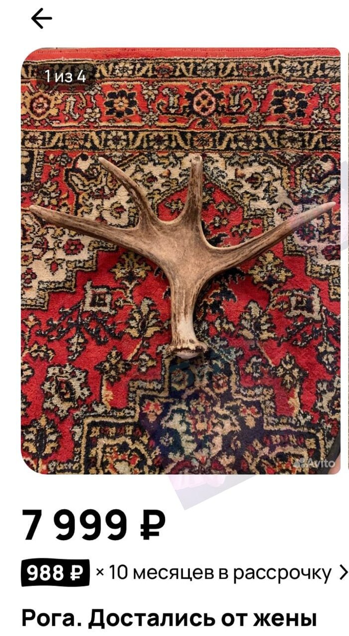    , , , , , 