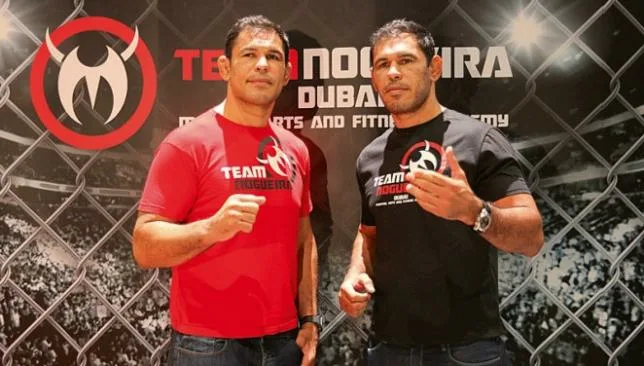     :  - ,     MMA, , , , 