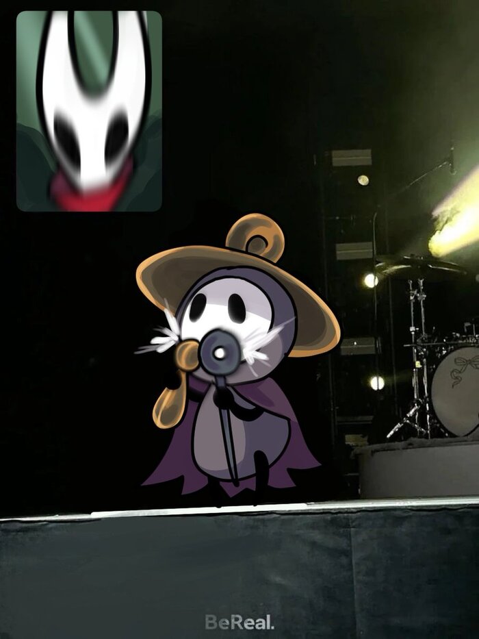    ! Hollow Knight, Hollow Knight: Silksong, Hornet, ,  