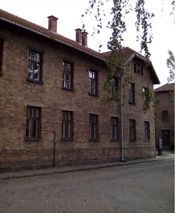 в Освенциме.