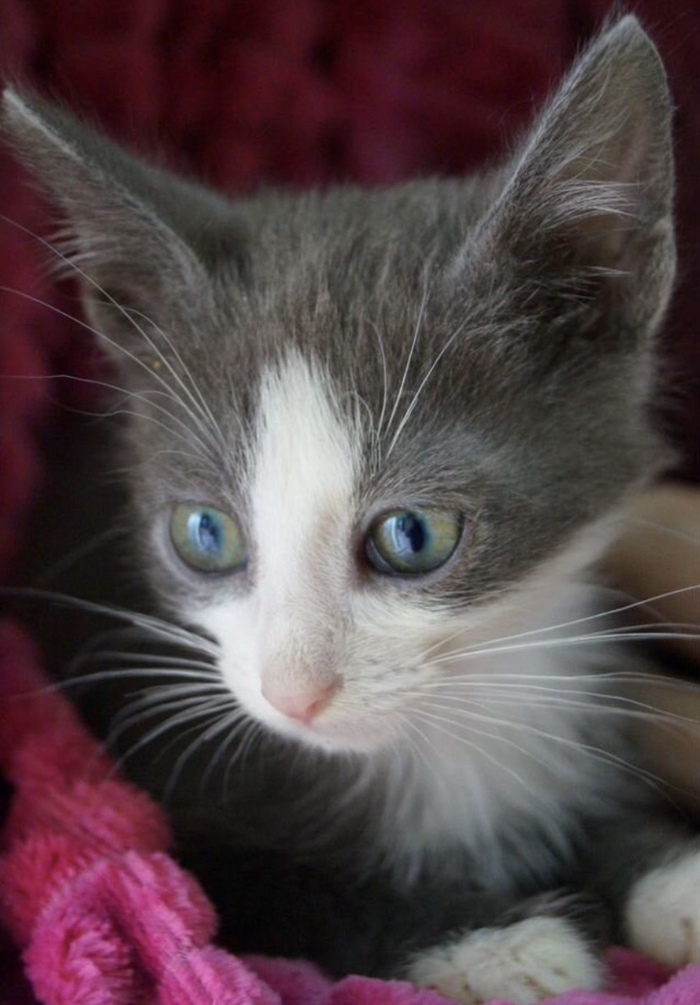 Сейчас потихоньку набирает вес