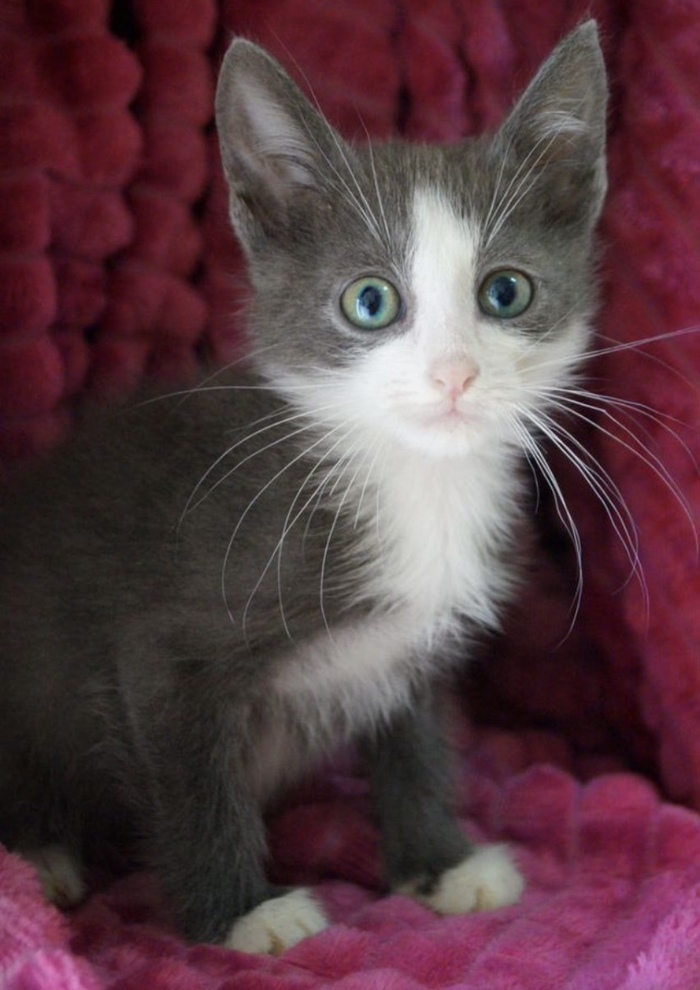 И очень ждёт , что ему подарят дом