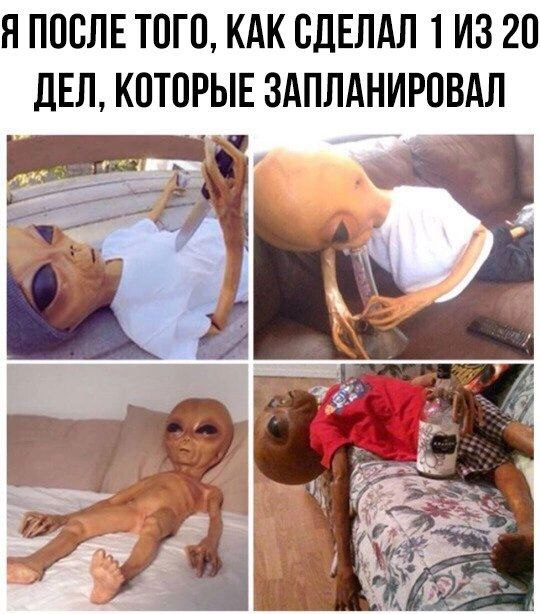 ������ �����������, ������