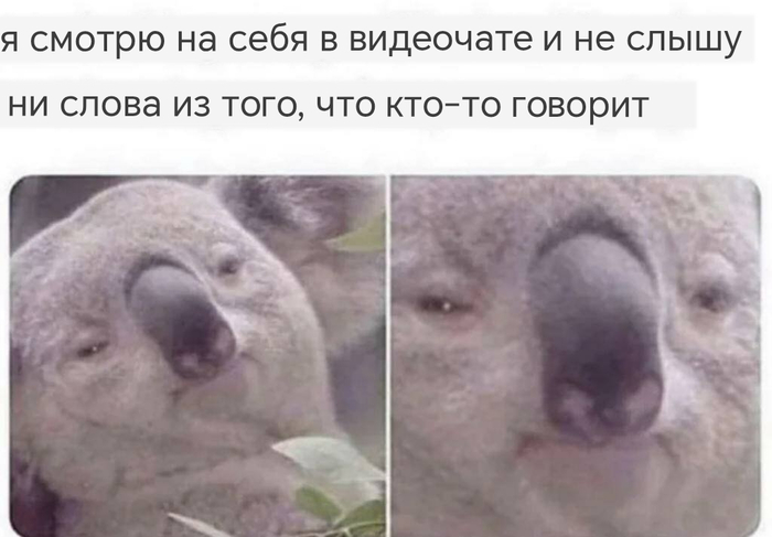  , , Telegram (), 