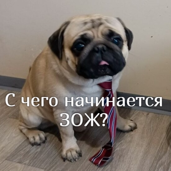    ? ,  , , , , 