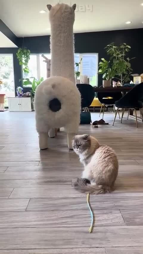 ,   ) , , , ,   