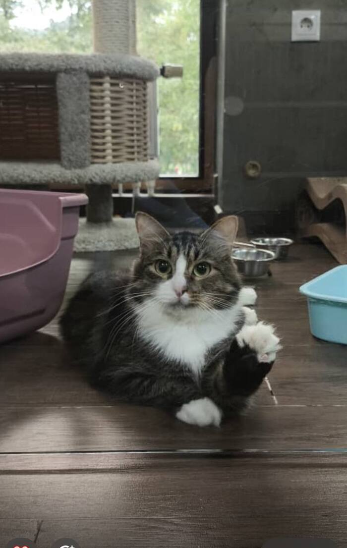          , , ,  ,  , ,  ,  ,  , 