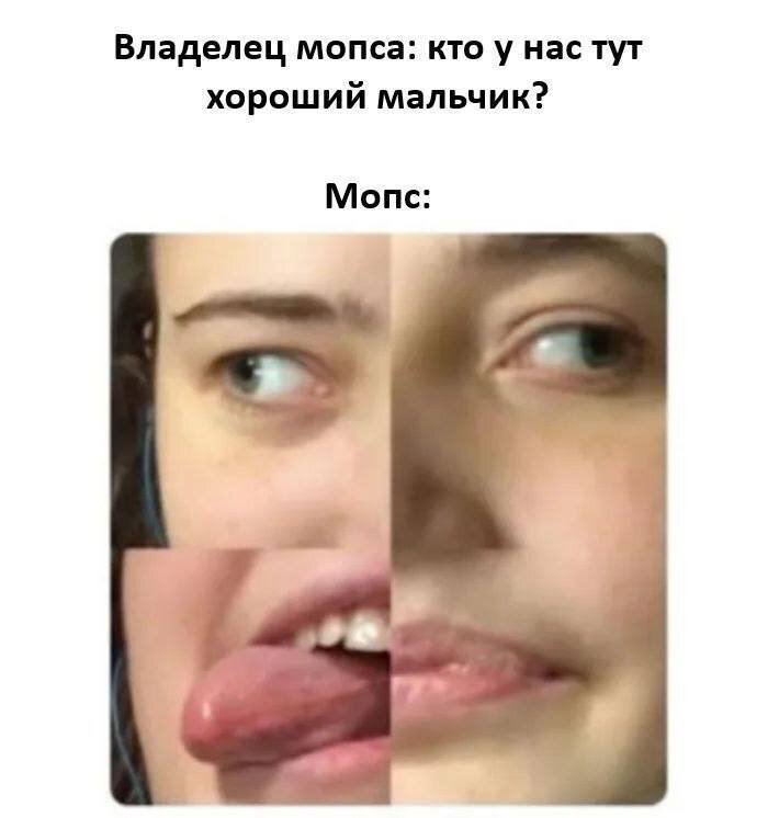 ��������� � �������� ������ �����������: