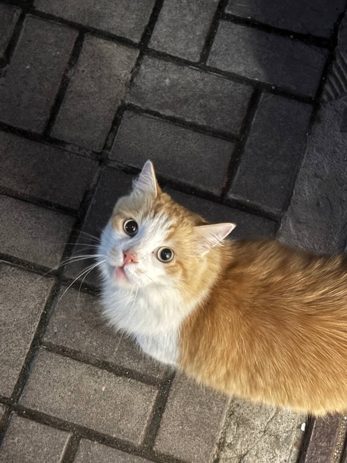 -!         ,  , ,   , -,  , 