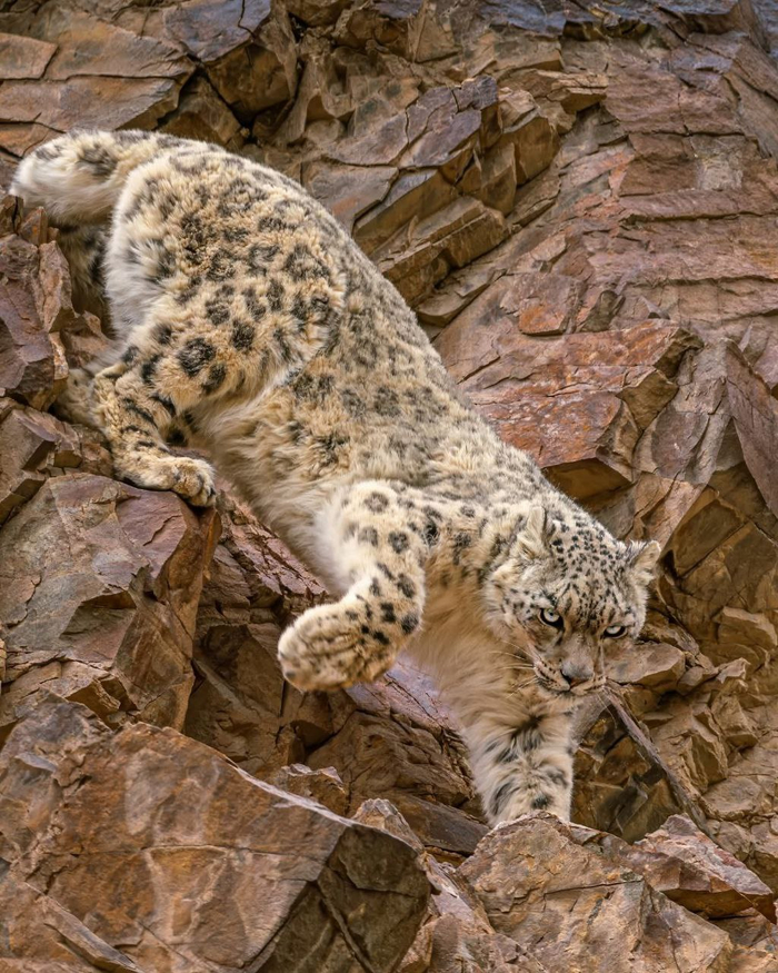  --!  ,  !  , , ,  ,  ,  ,  ,  , , Telegram (), 