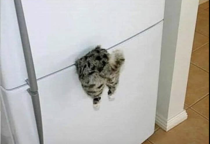       ,     - 