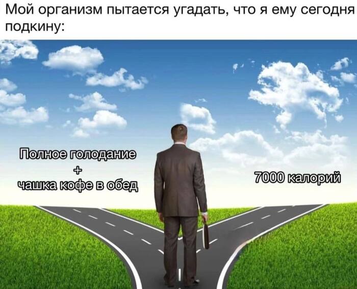   ,   ,  , , , ,   , , , , , , Telegram ()
