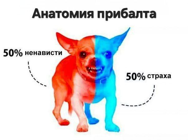      --         , , , , ,   , , ,  , , , , , Telegram (), , 