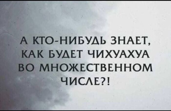   ? , , Telegram ()