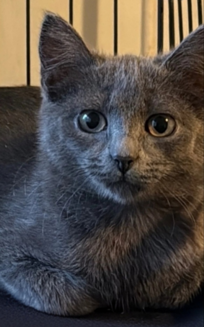     .      , ,   ,  ,  ,  ,  ,  , 