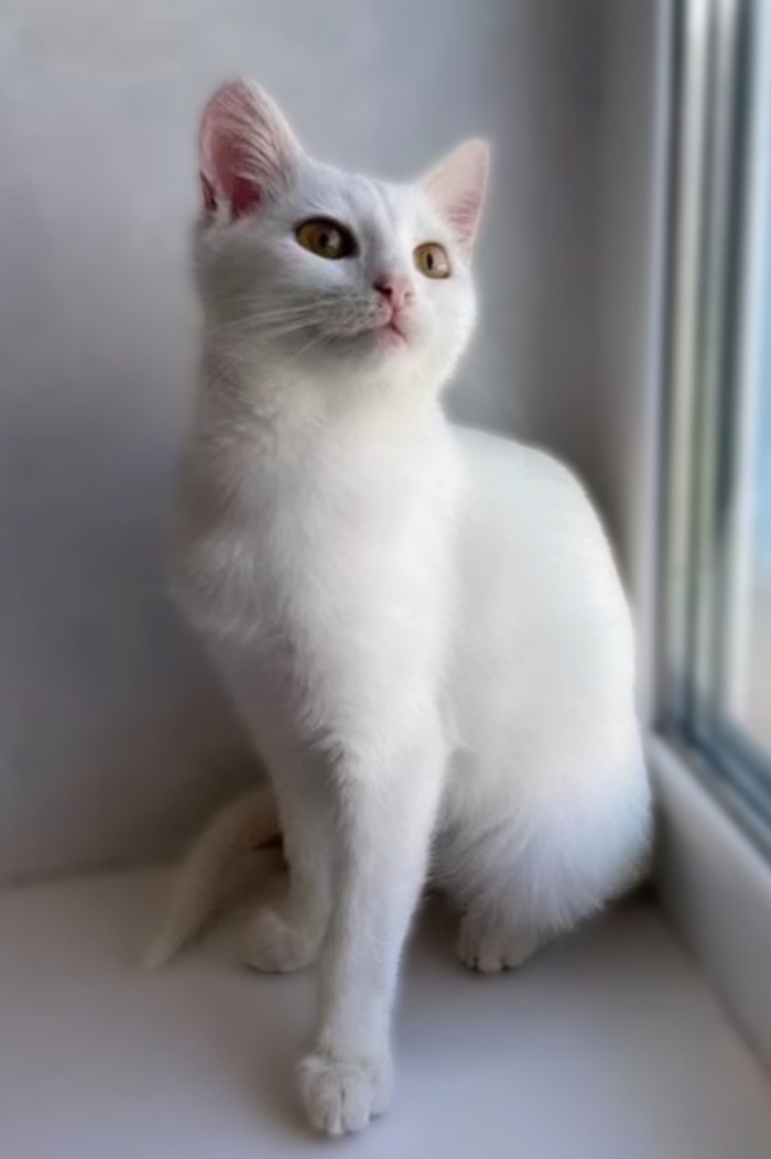      , ,   ,  ,  ,  , 