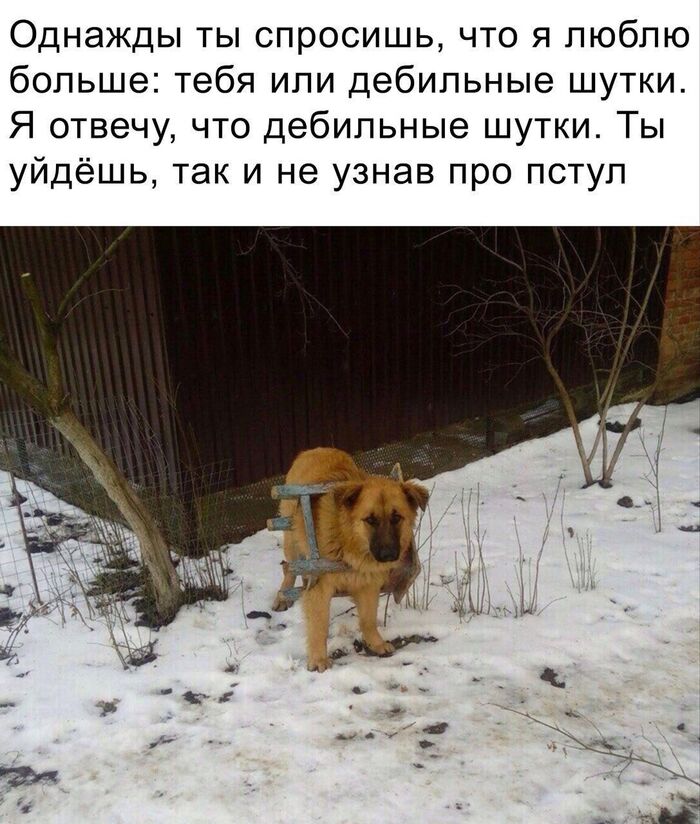  ,   , , 