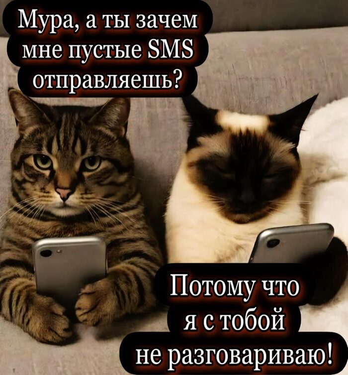 ... , Telegram (),   , , 